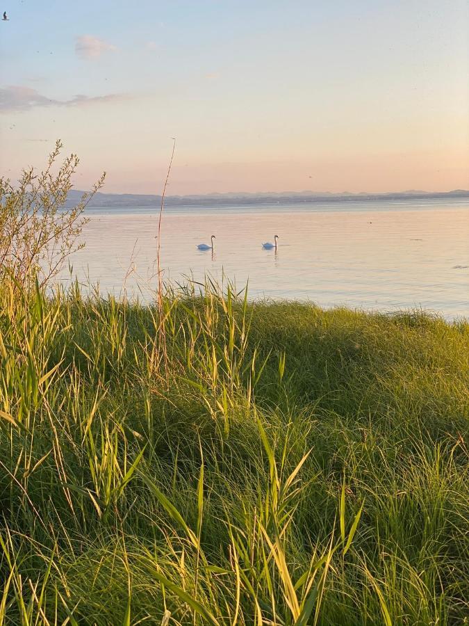 Ferien-Apartment Eisvogel Im Naturschutzgebiet Mit Privatstrand FDH Buitenkant foto