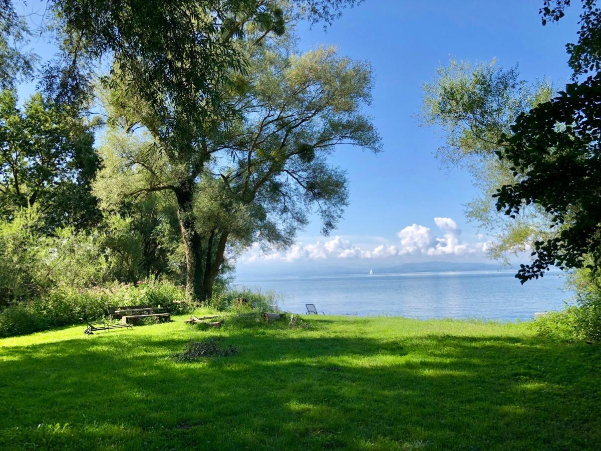 Ferien-Apartment Eisvogel Im Naturschutzgebiet Mit Privatstrand FDH Buitenkant foto