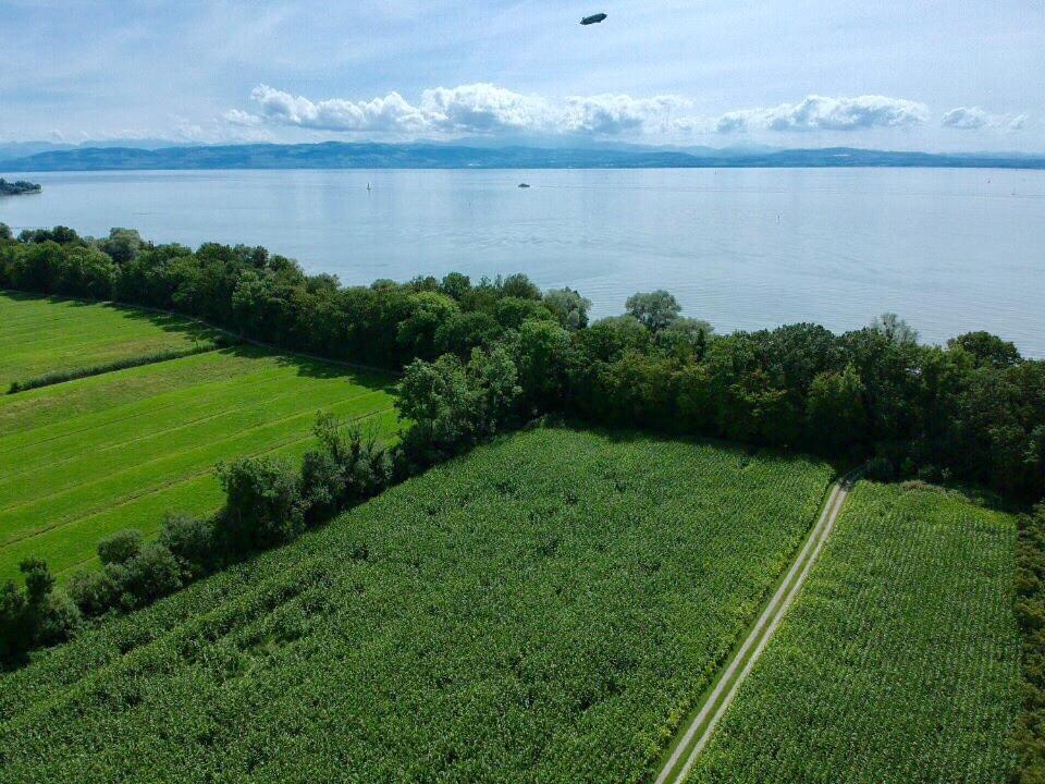 Ferien-Apartment Eisvogel Im Naturschutzgebiet Mit Privatstrand FDH Buitenkant foto
