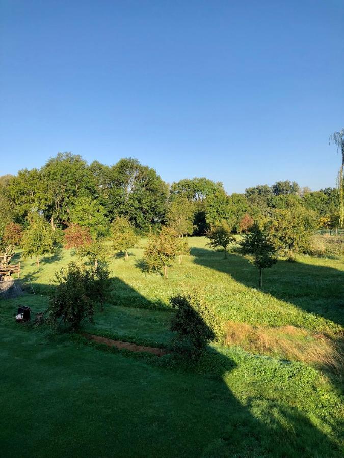 Ferien-Apartment Eisvogel Im Naturschutzgebiet Mit Privatstrand FDH Buitenkant foto
